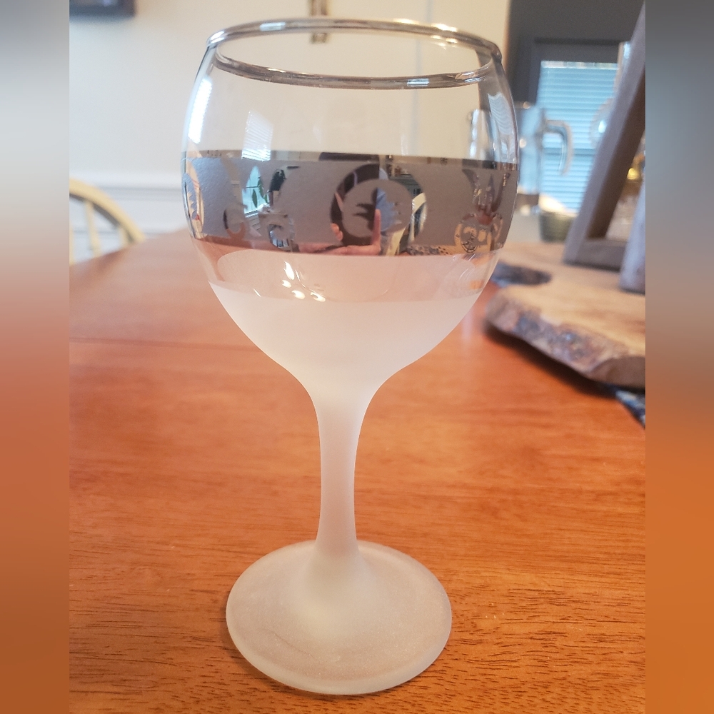 Frosted Wine Glass Goblet with Silver Band Accents Stem